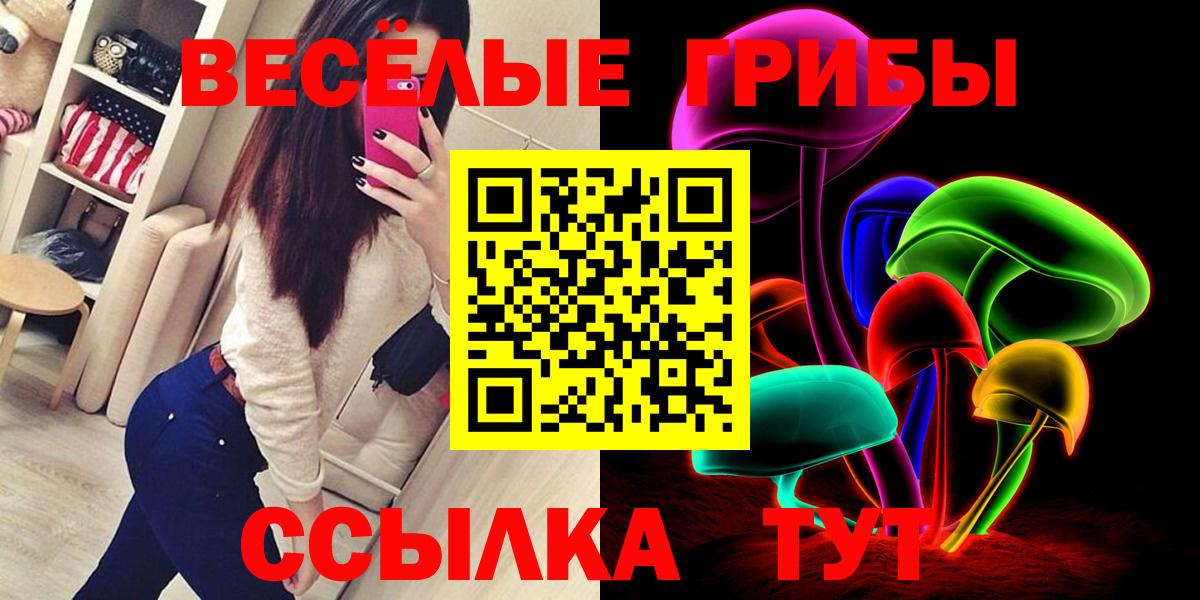 Коряжма  Галлюциногенные грибы мицелий  Вход с VPN  Псилоцибиновые грибы мицелий 
