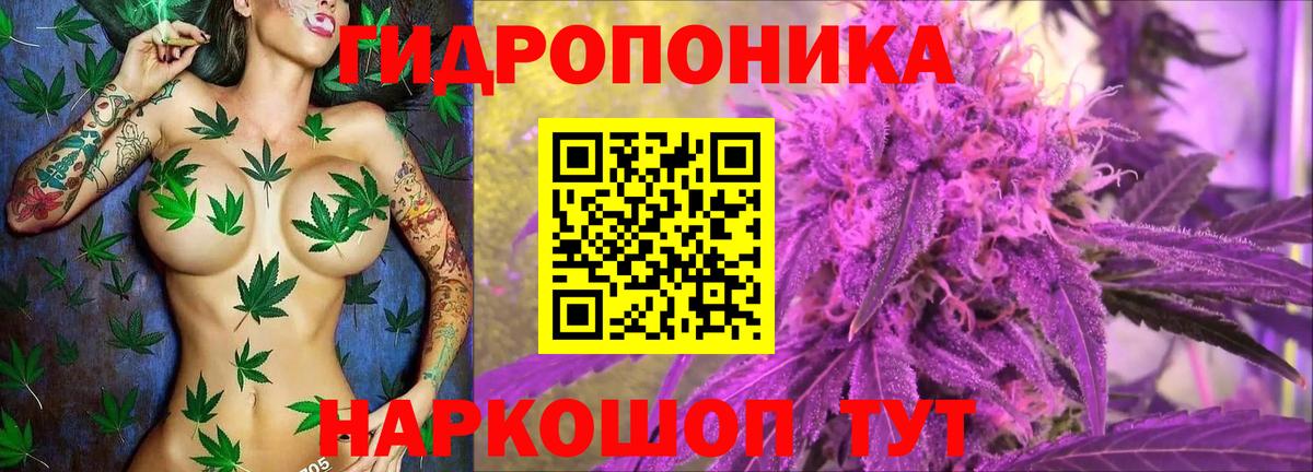 Шишки марихуана Ganja  Каннабис AK-47  Коряжма  Каннабис OG Kush  Вход с VPN 